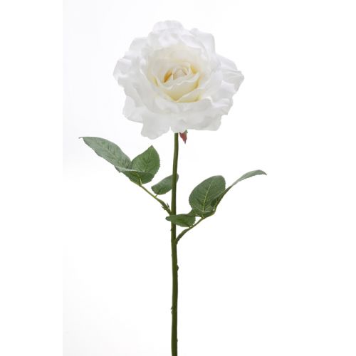 Роза белая MISTERY декоративная